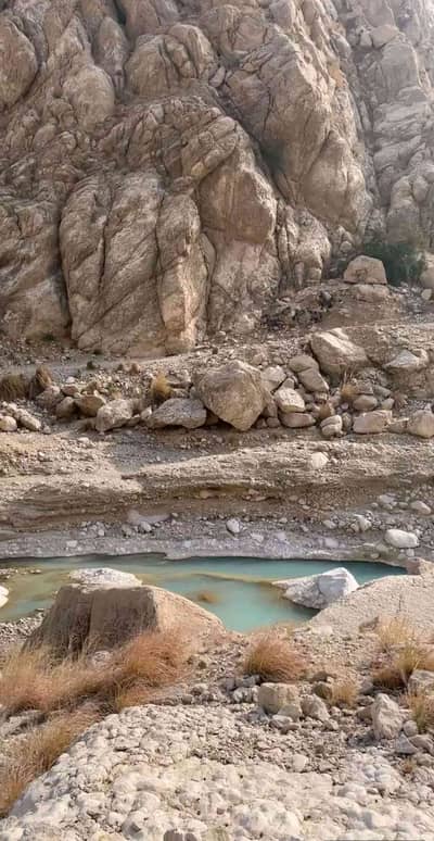 بلوچ 