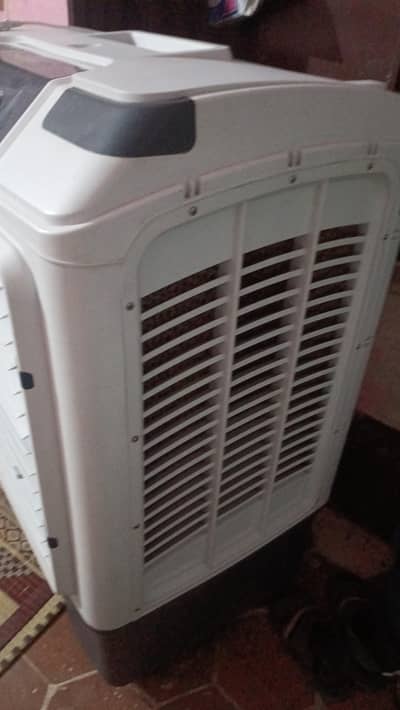 cherry air cooler