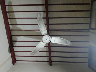 roof fans