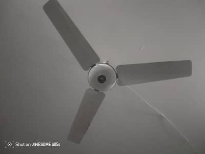 Pak fan pure coper motor