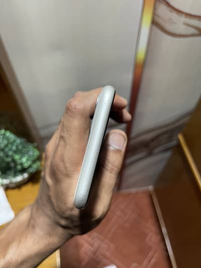 Apple iPhone 11 Watrpack