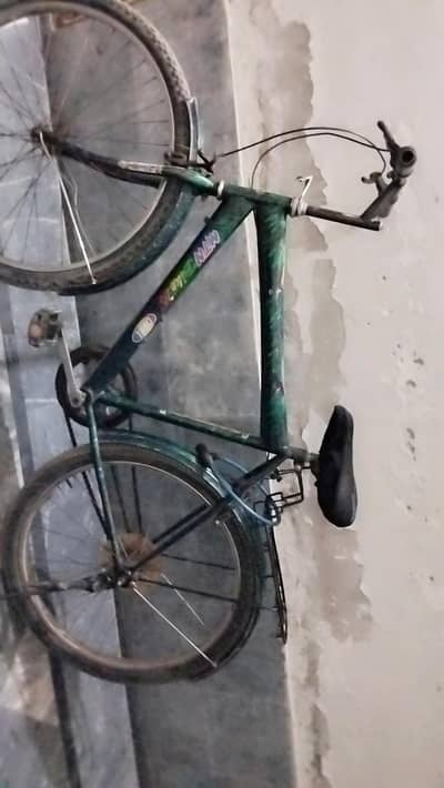 Mountain bike bicycle green colour