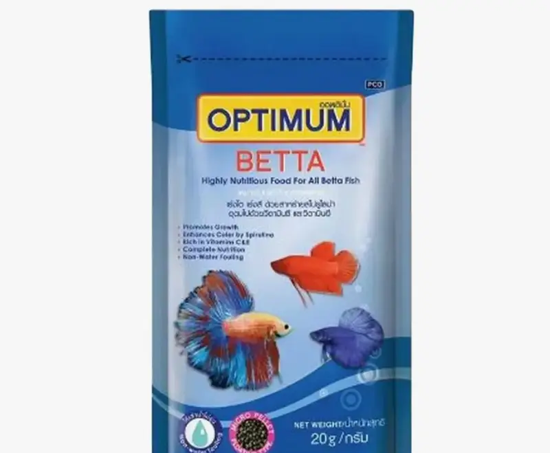 Betta Fish Blue with free Fish bowl — photo 8