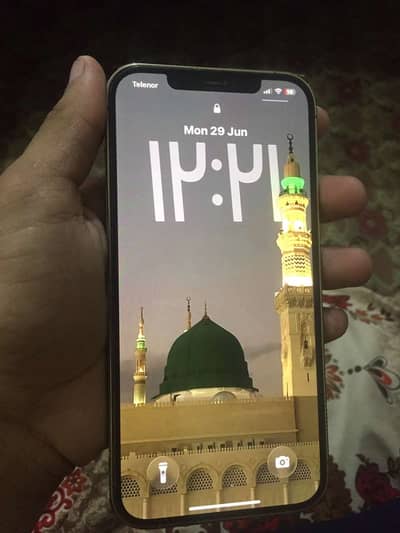 Apple iPhone 12 Pro Max