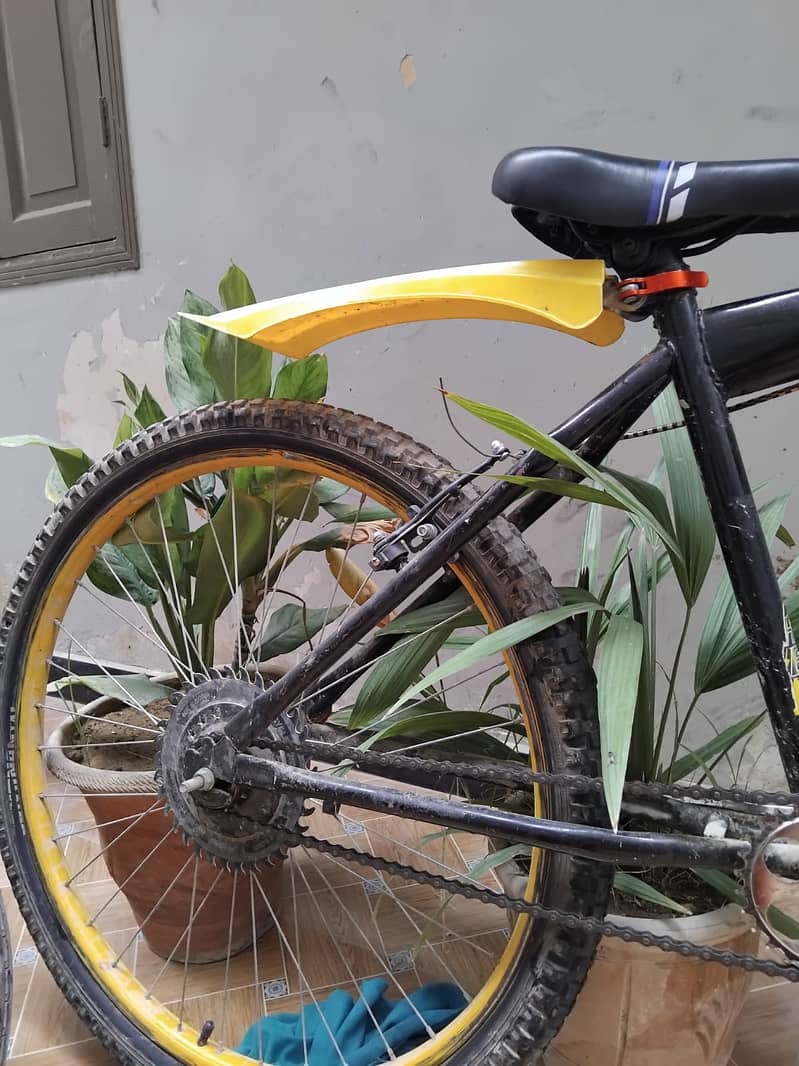 Bicycle 2