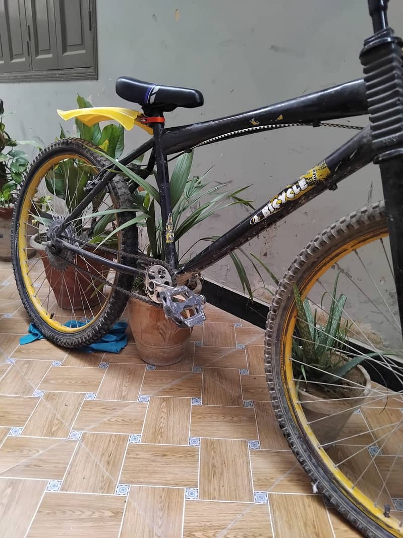 Bicycle 3