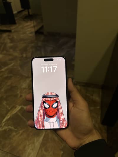 iPhone 14 Pro Max