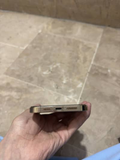 iPhone 13 Pm (PTA)