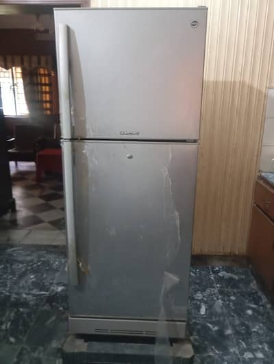 Pel fridge and freezer