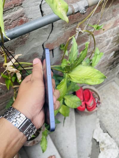 Iphone 12 non pta Factory unlocked