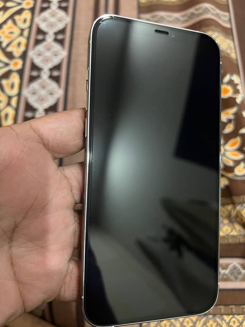 iPhone 12 Pro Max 1