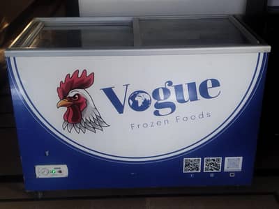 Variolone commercial freezers with transparent door
