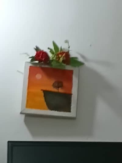 Canvas paint