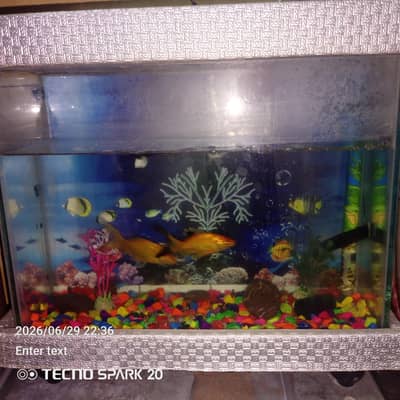 Aquarium and fishes