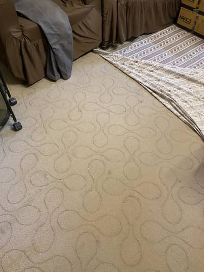 Drawing room carpet for sell