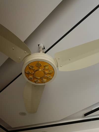 opal ceiling fans