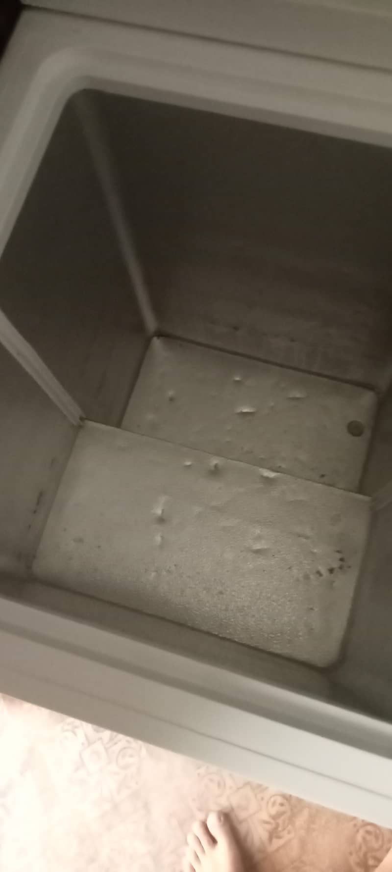 Freezer 4