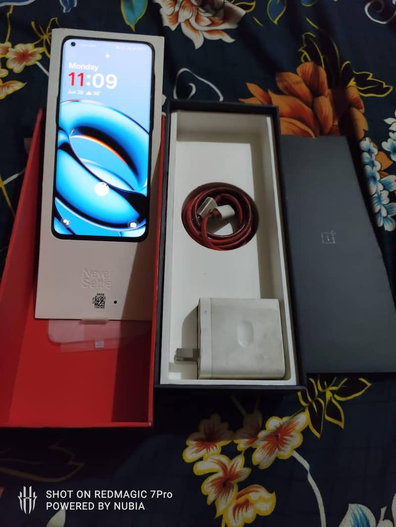 One plus ten pro 2