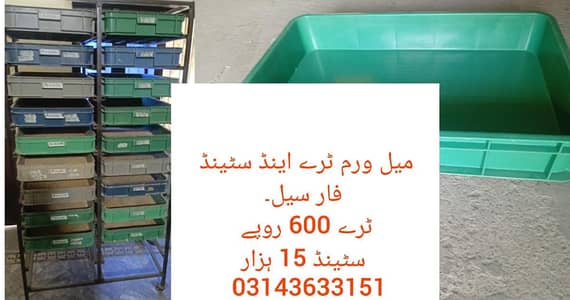Mealworm Trays