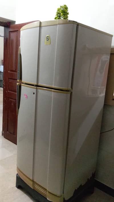 fridge