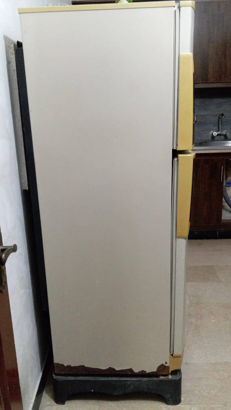 fridge 2