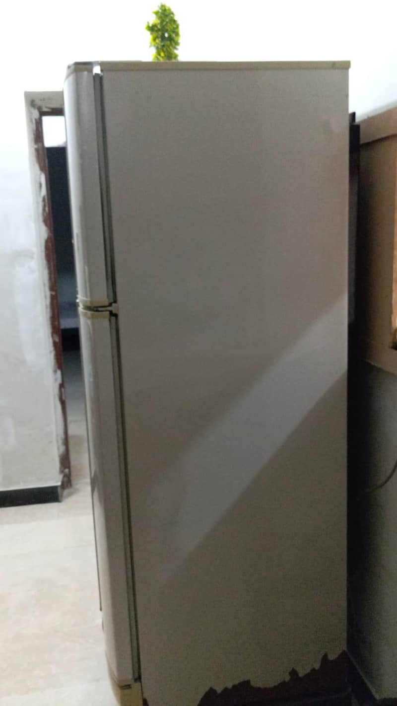 fridge 3