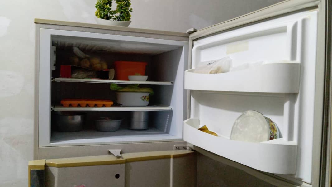 fridge 4