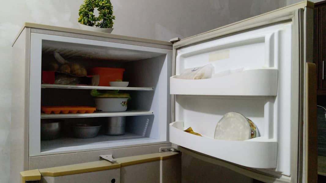 fridge 5