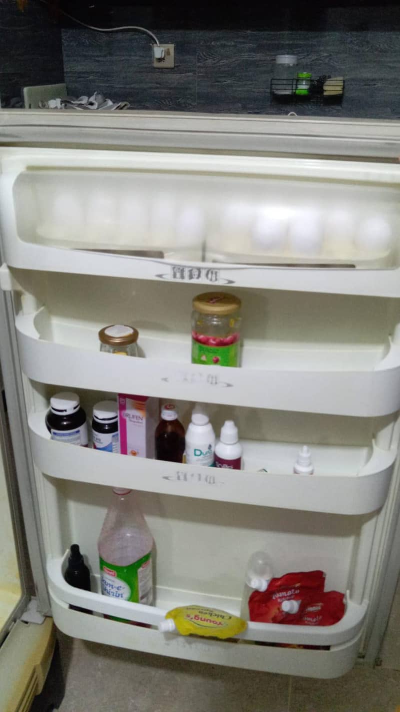 fridge 6