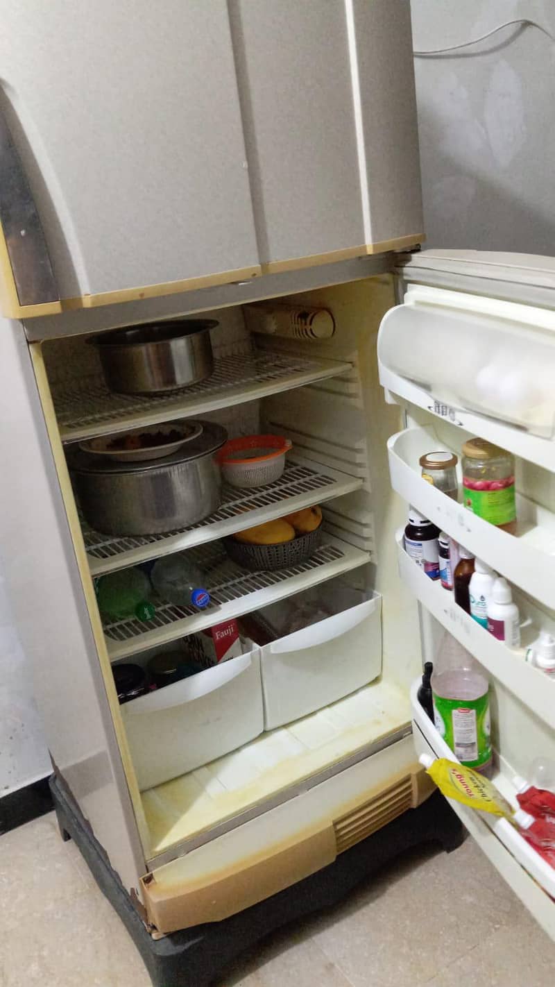 fridge 7