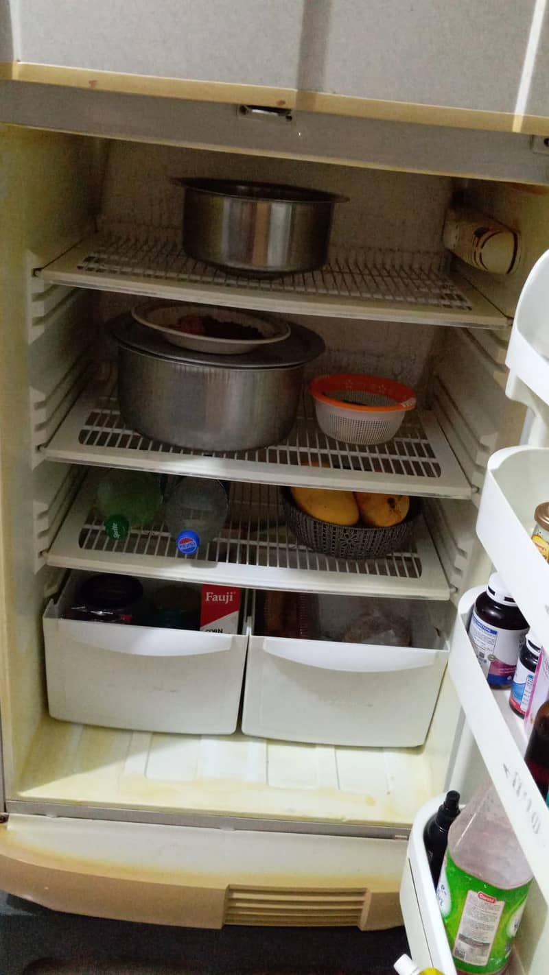 fridge 8