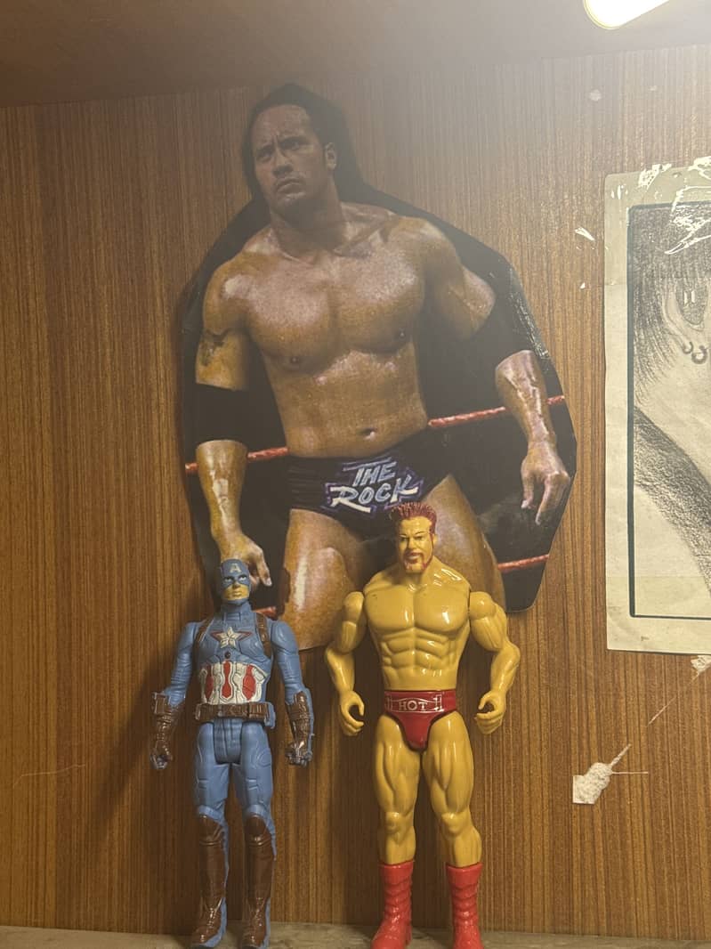 wrestler 0