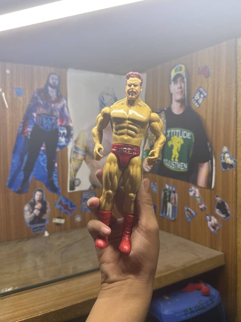 wrestler 1