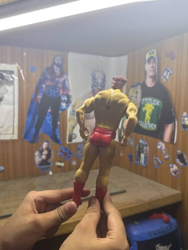 wrestler 2