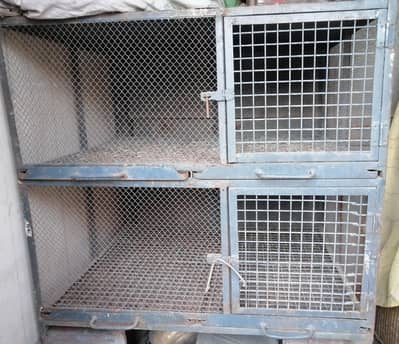 iron cage