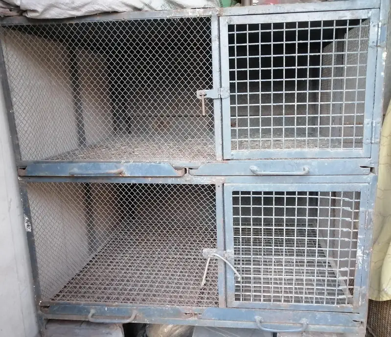 iron cage