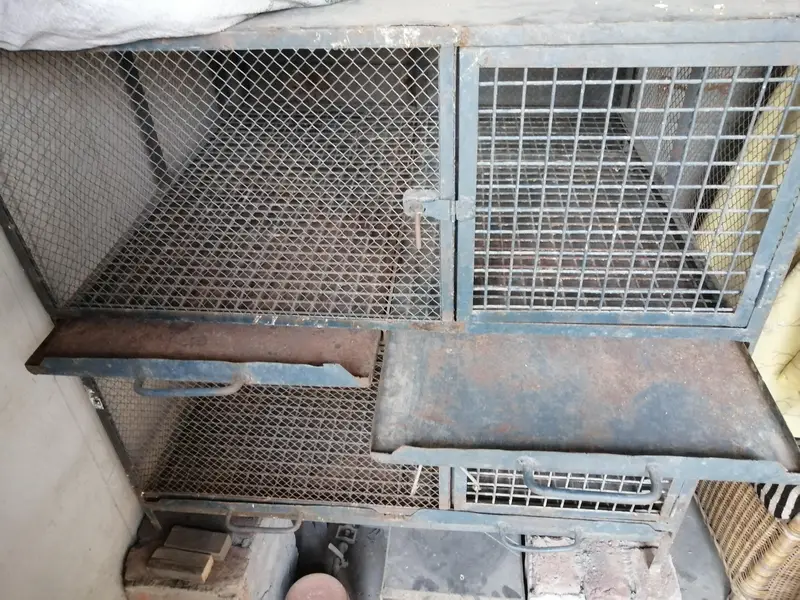 iron cage — photo 3