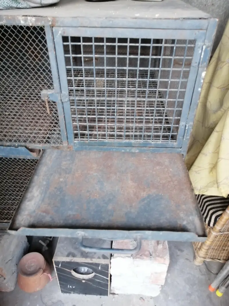 iron cage — photo 4
