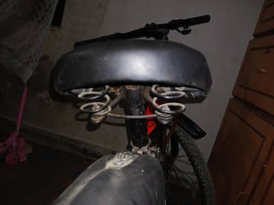 Speedo Mountain Bike (Size 27)