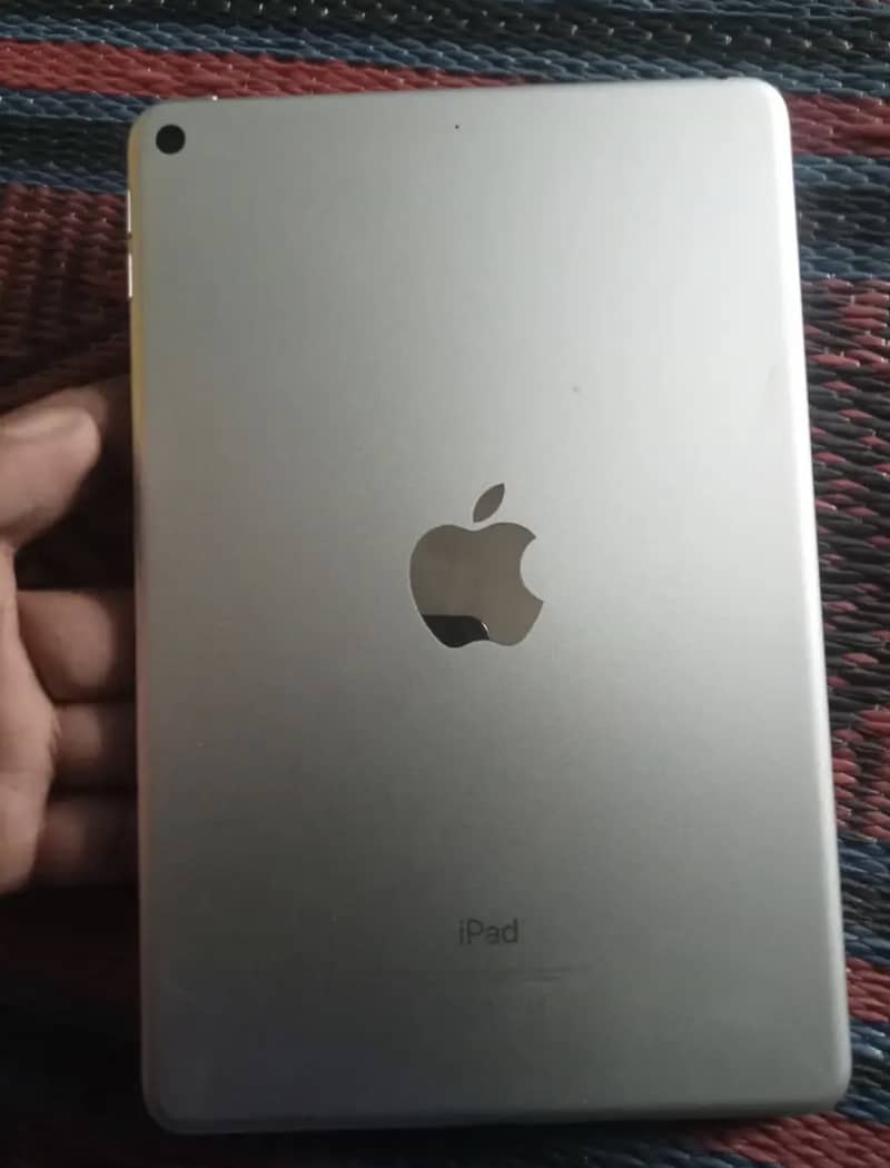 iPad mini 5 0
