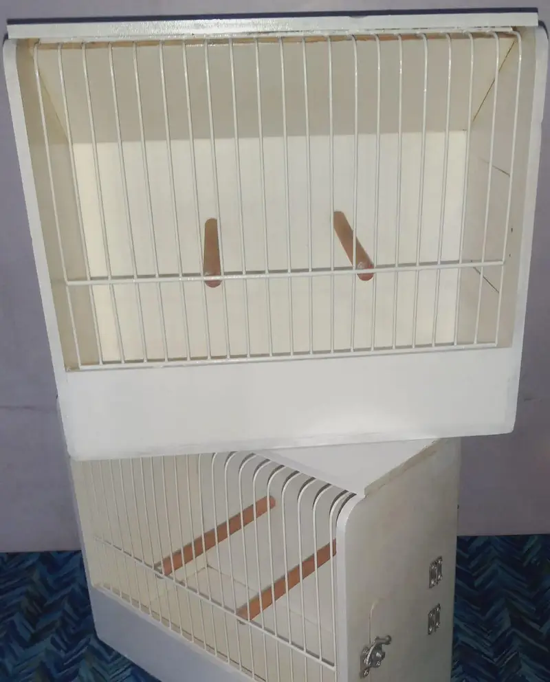 Showbox /Showcage