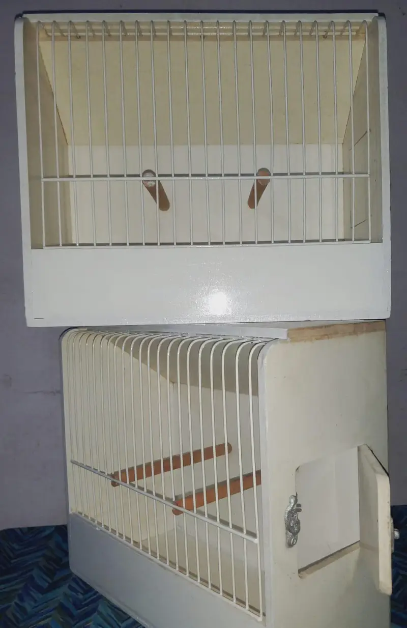 Showbox /Showcage — photo 2