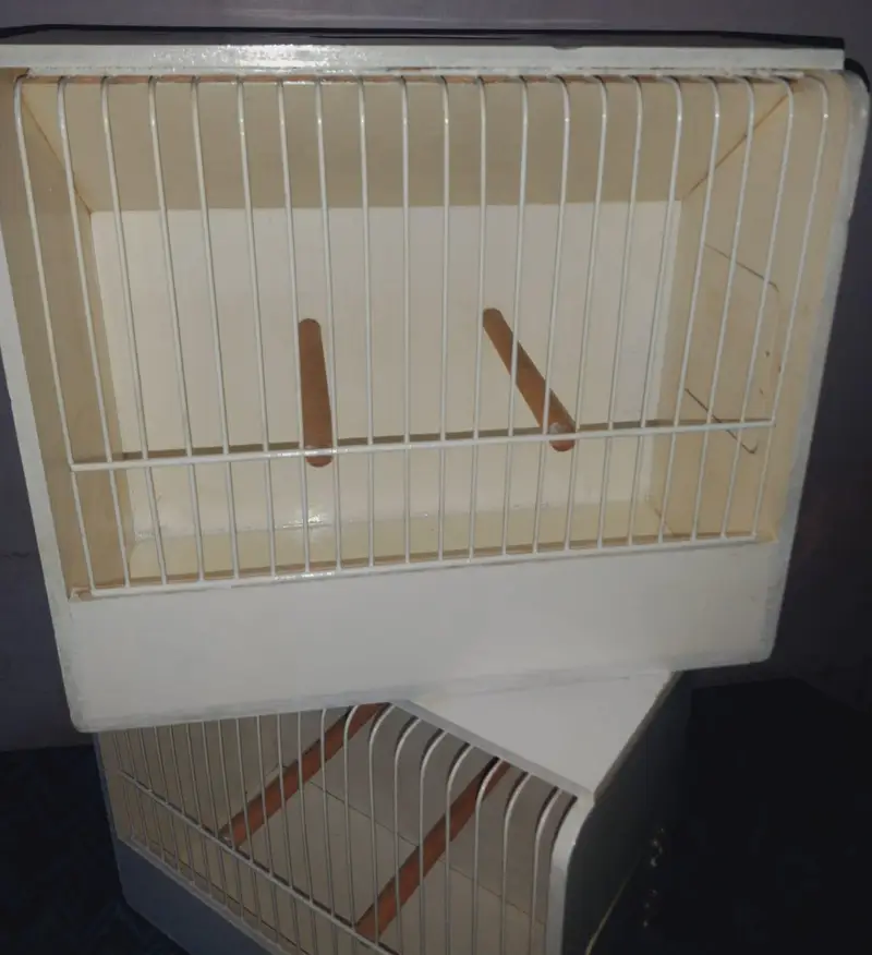 Showbox /Showcage — photo 6