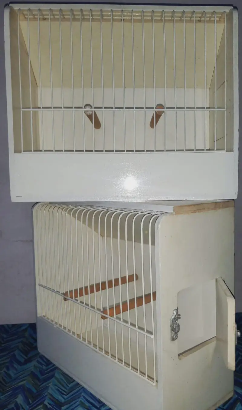 Showbox /Showcage — photo 7