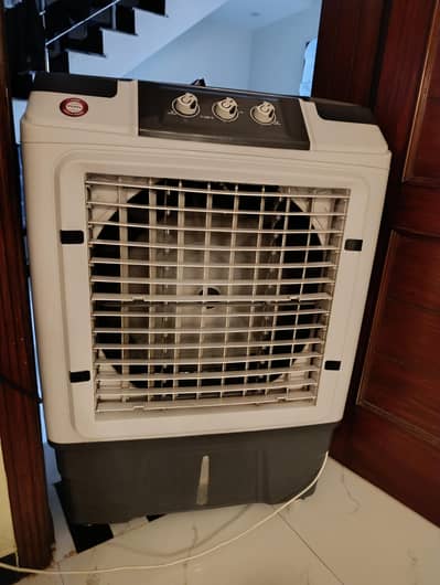 Beetro Y-100 C (Like New)