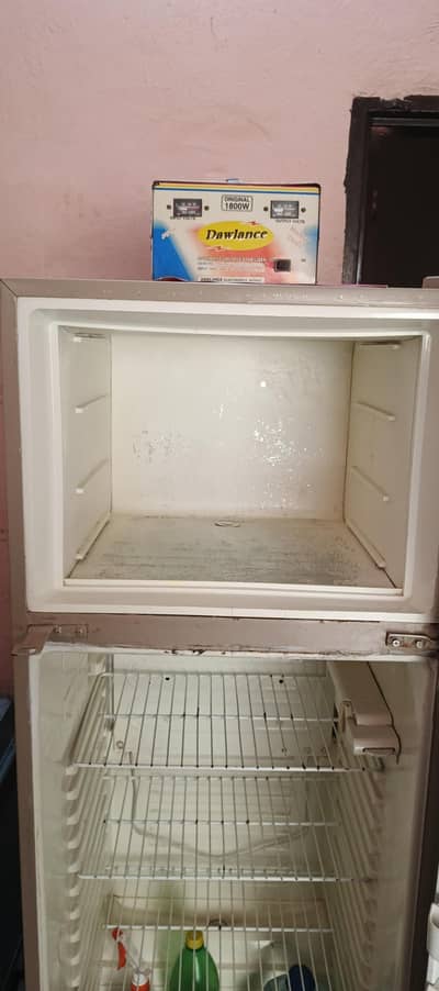 10/10 frige
