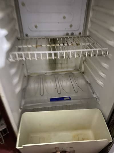 Orient Glass Door Refrigerator