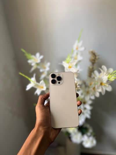 Apple iPhone 13 Pro Max