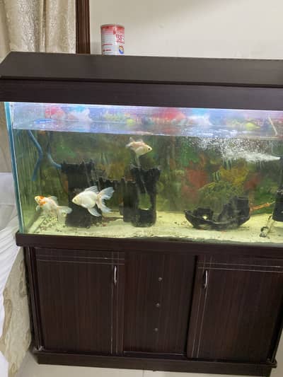 Fish Aquarium in good condition 10/10 size 4 / 1.5 feet