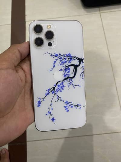 Apple iPhone 12 Pro Max